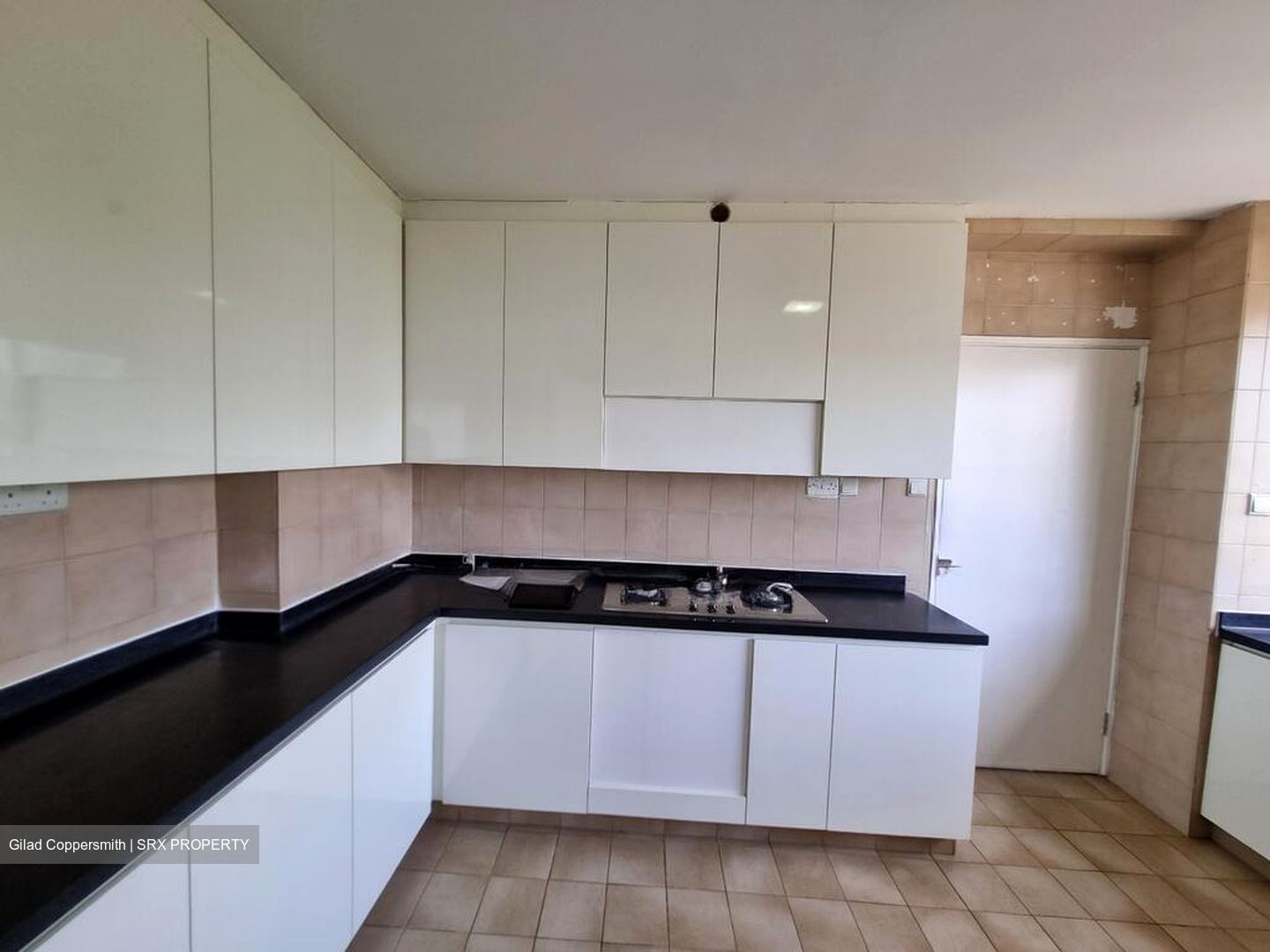 The Cairnhill (D9), Condominium #511347051